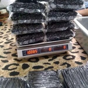 IMG_20230204_125154 (1)